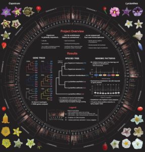 systematics phylogenetic incongruence gene